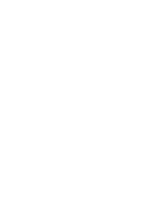 Second Login Logo