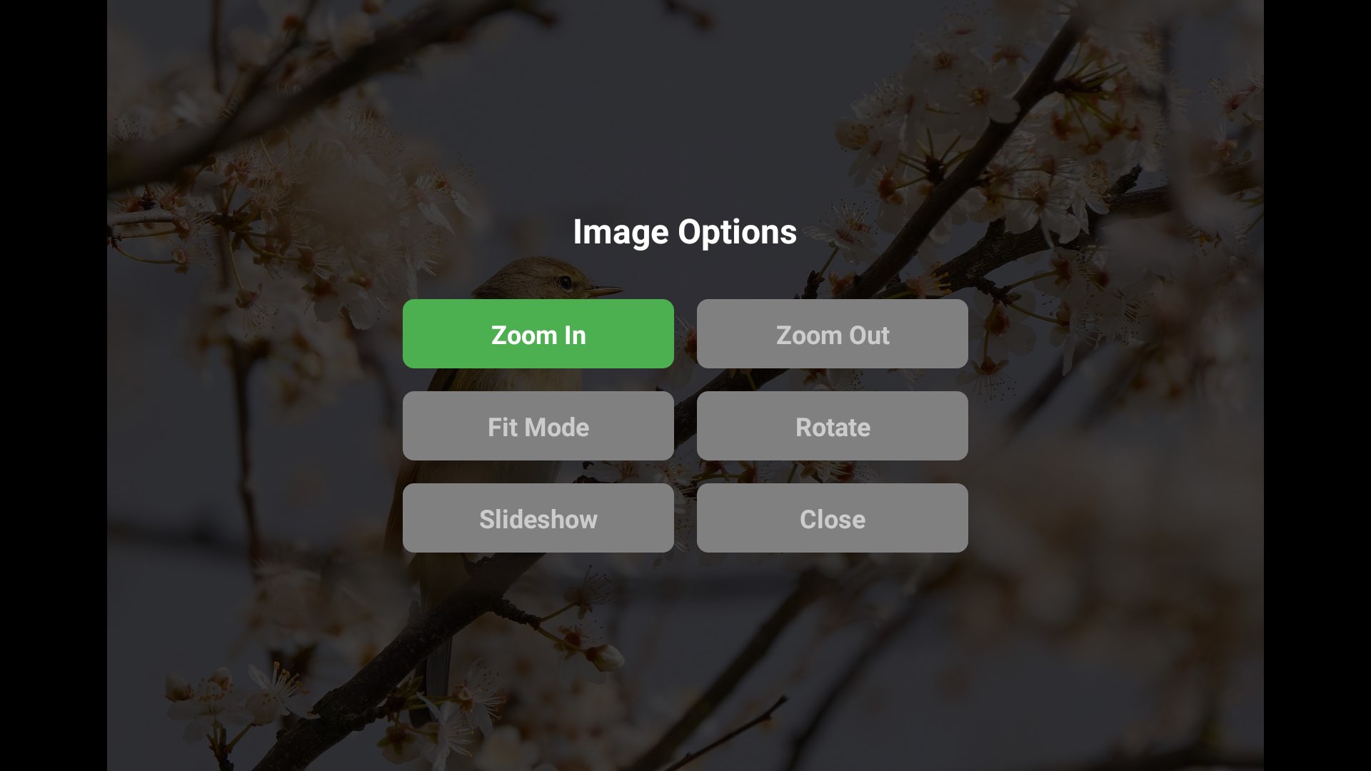 Photo Viewer Options